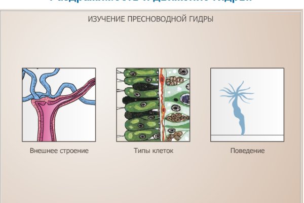 Рабочее зеркало на кракен